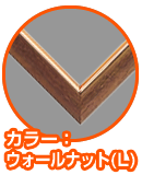 imageMPL-036
