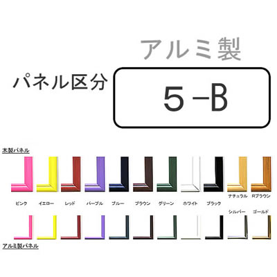 imagea5-b