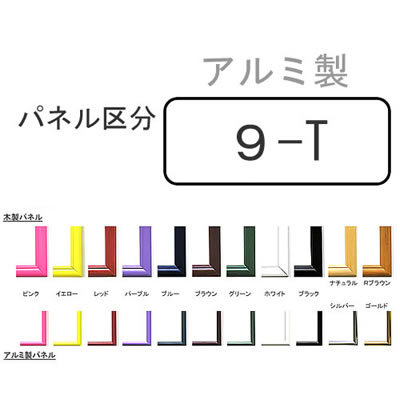 imagea9-t