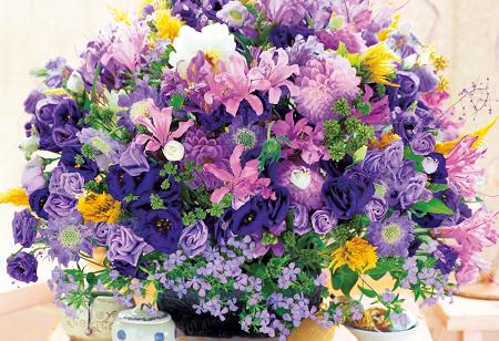 imageap-47-508