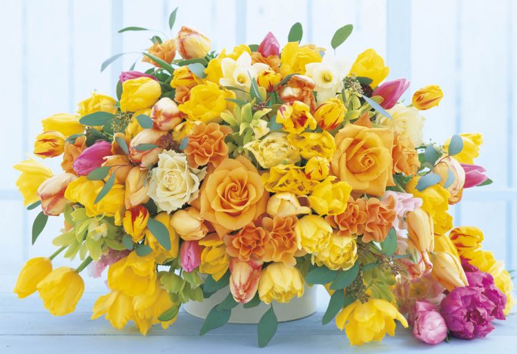 imageap-47-709