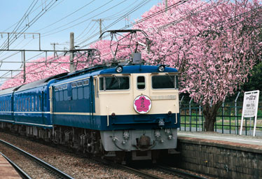 imageap-48-710