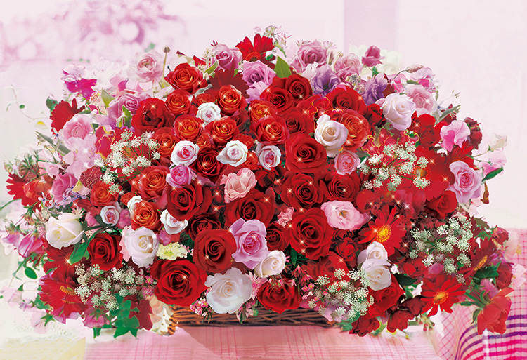 imageap-48-766-1