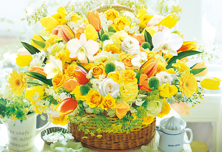 imageap-48-766