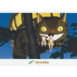 imageax-500-266
