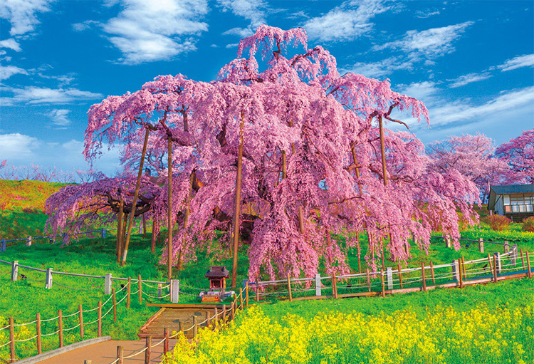 imageb-51-212