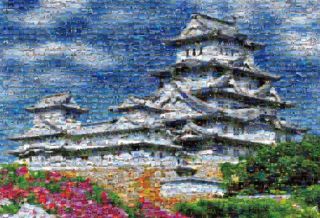 imageb-81-521