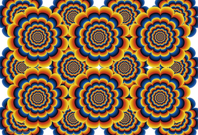 imageb-84-010