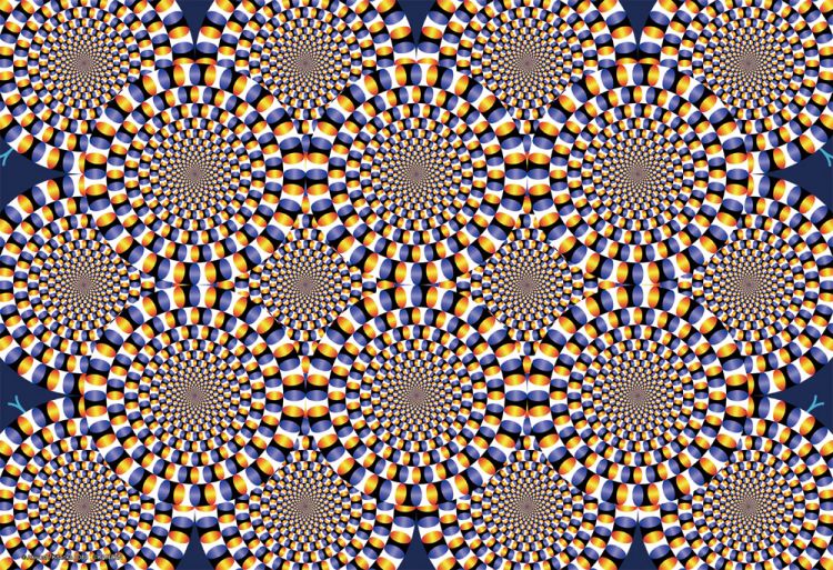 imageb-84-011