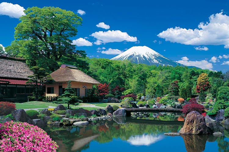 imagee-10-785