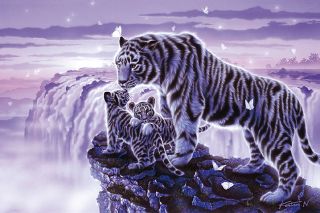 imagee-15-070