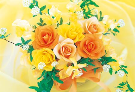 imagey-03-811