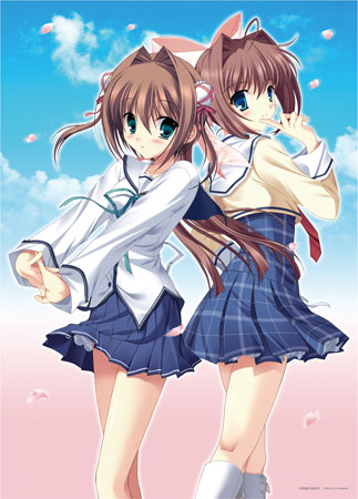 imagey-05-954