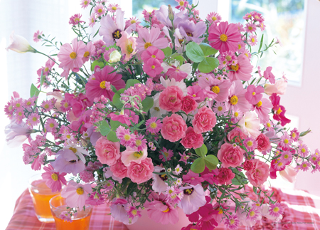 imagey-05-971