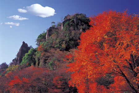 imagey-15-003